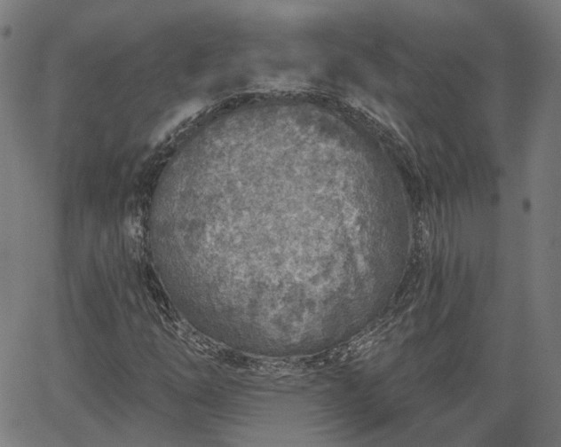 X0000065971254200603101348