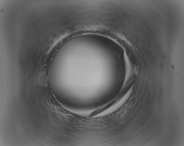 X0000065971256200603101348