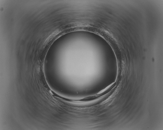 X0000065971257200603101348