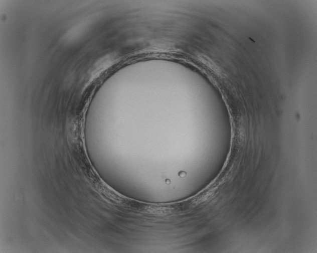 X0000065971258200603101348