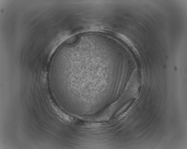 X0000065971260200603101348