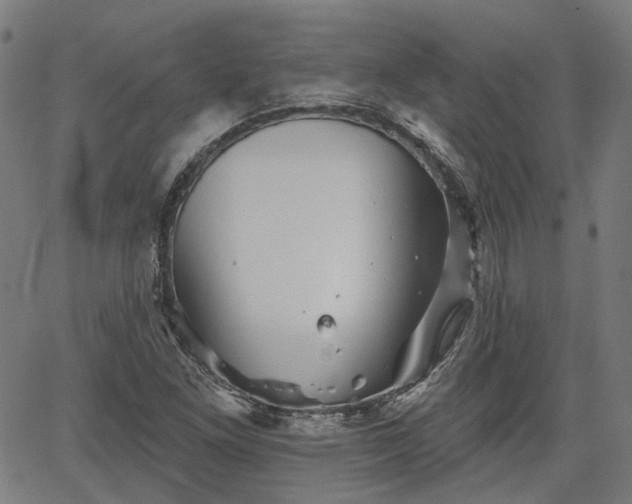 X0000065971261200603101348