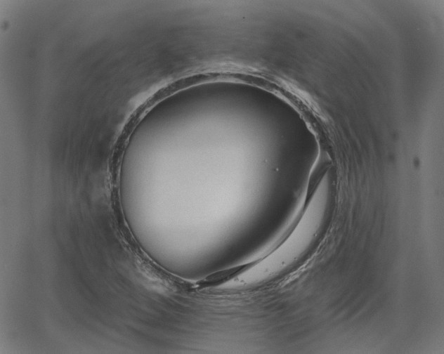 X0000065971264200603101348