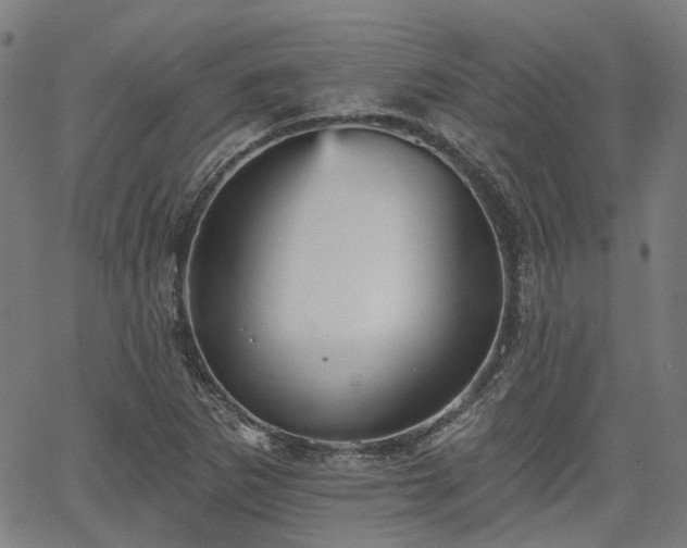 X0000065971265200603101348