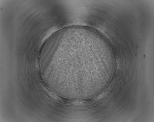 X0000065971266200603101348