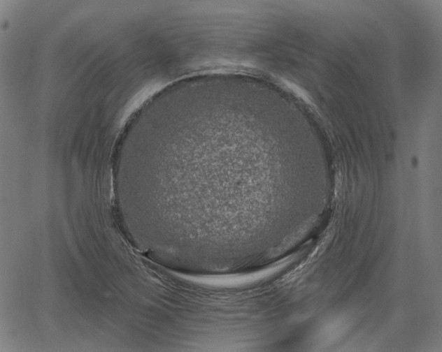 X0000065971267200603101348