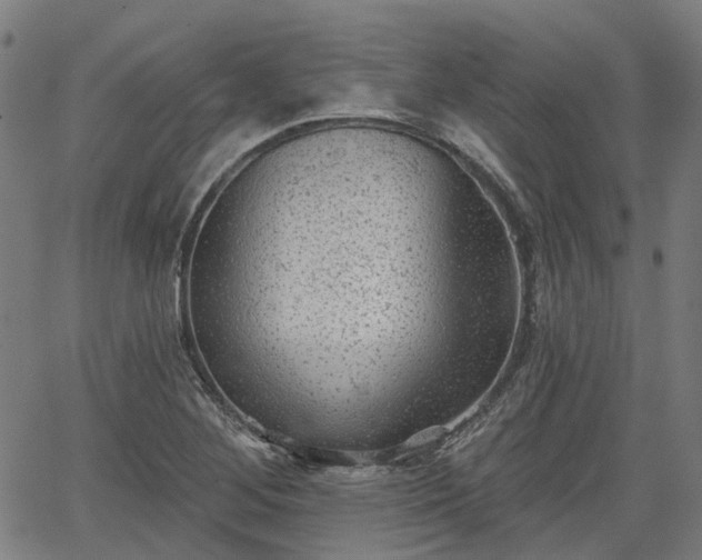 X0000065971268200603101348