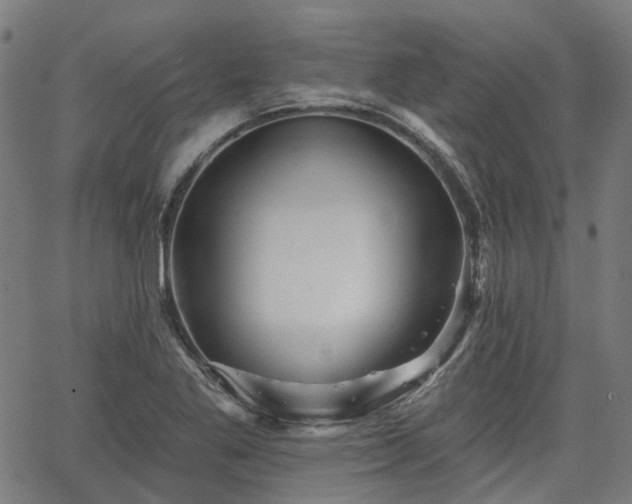 X0000065971269200603101348