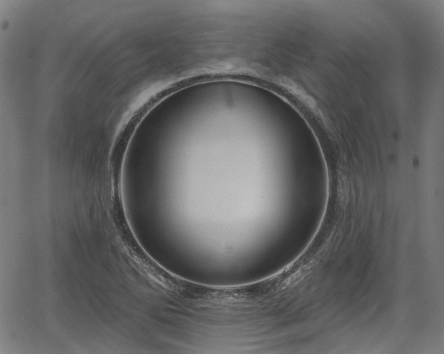 X0000065971270200603101348