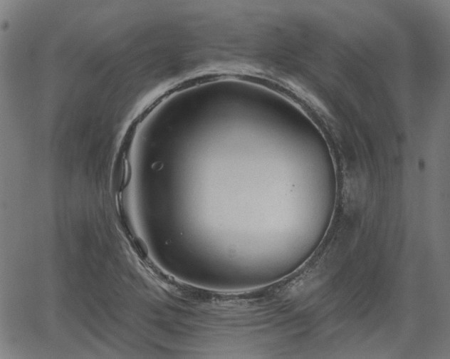 X0000065971272200603101348