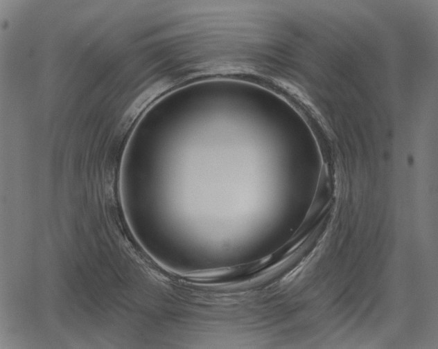 X0000065971273200603101348