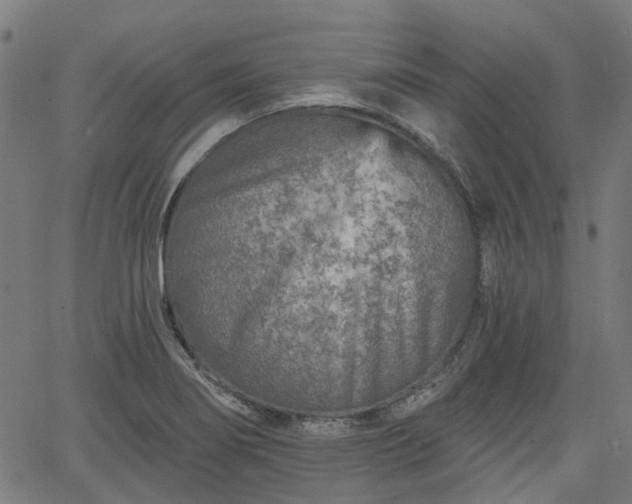 X0000065971274200603101348