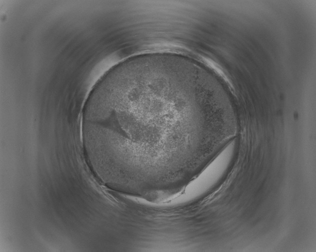 X0000065971275200603101348