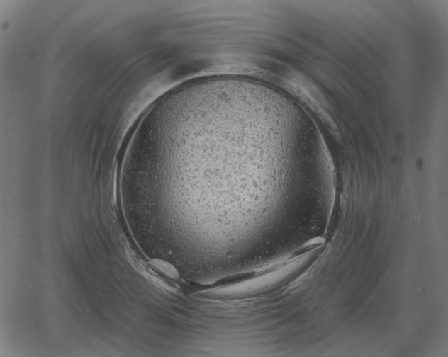 X0000065971276200603101348