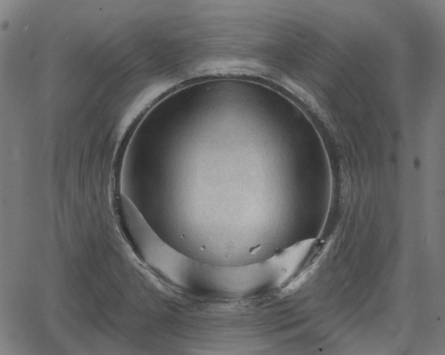 X0000065971277200603101348