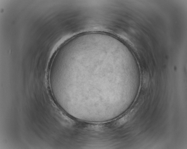 X0000065971278200603101348