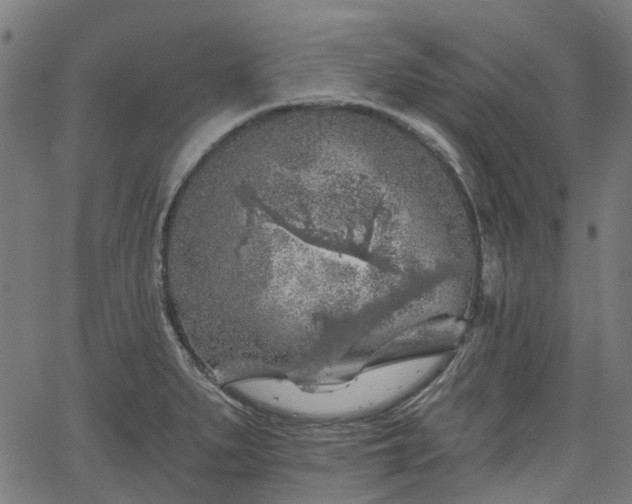 X0000065971279200603101348