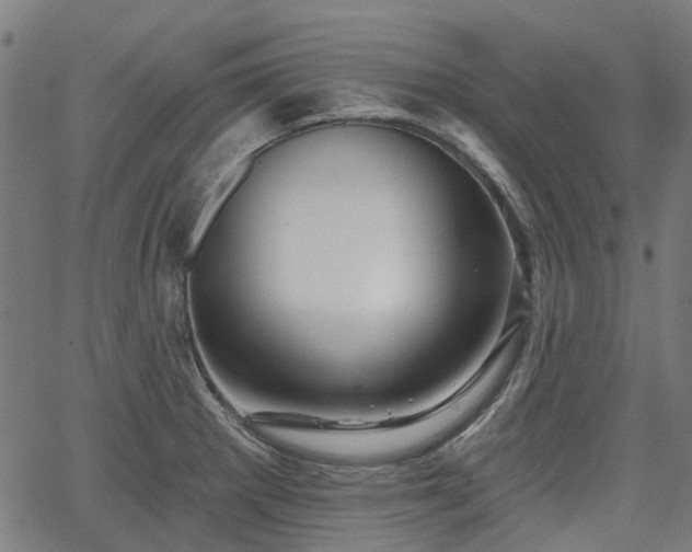 X0000065971281200603101348