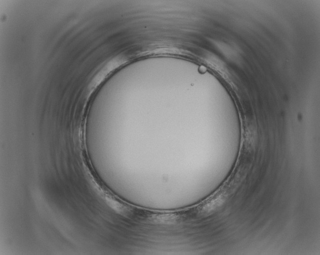 X0000065971282200603101348