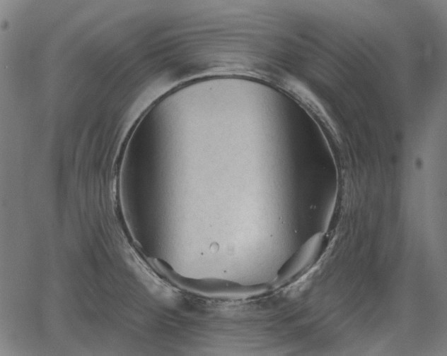 X0000065971284200603101348