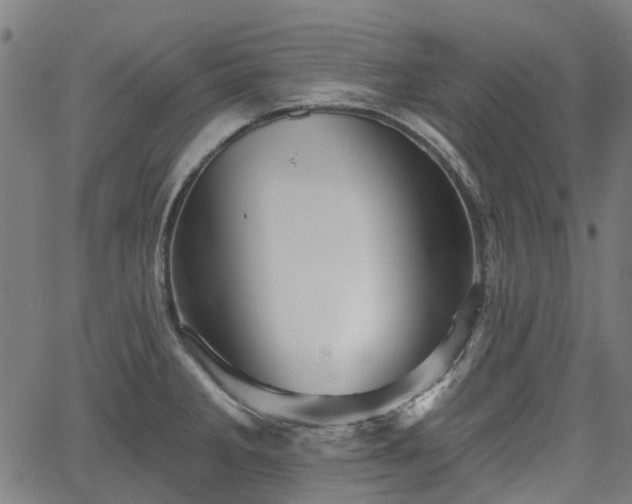 X0000065971285200603101348