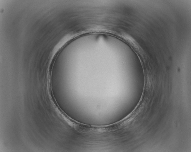 X0000065971286200603101348