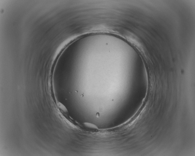 X0000065971288200603101348