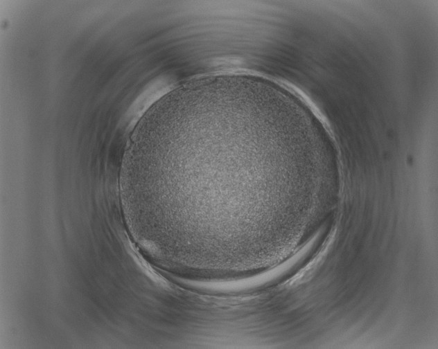 X0000065971289200603101348