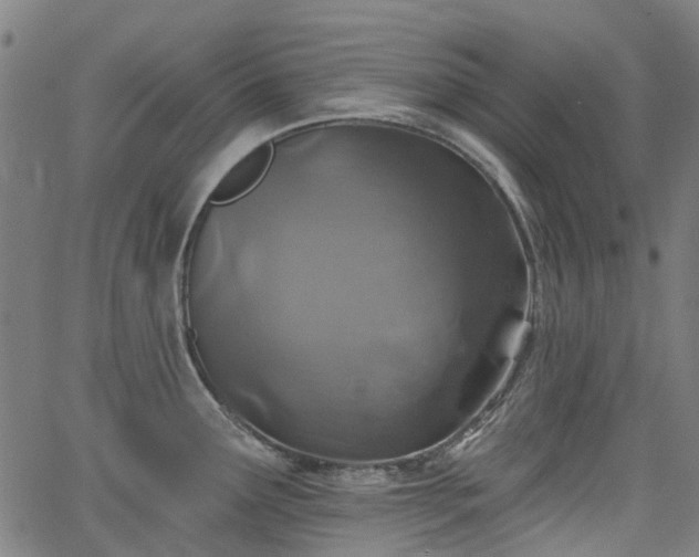 X0000065971291200603101348