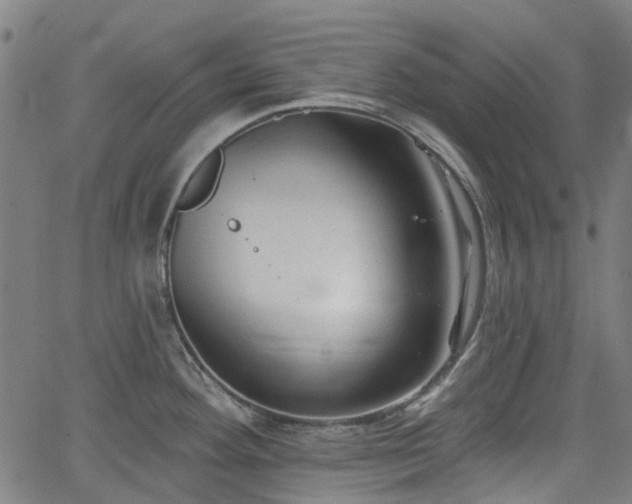 X0000065971292200603101348