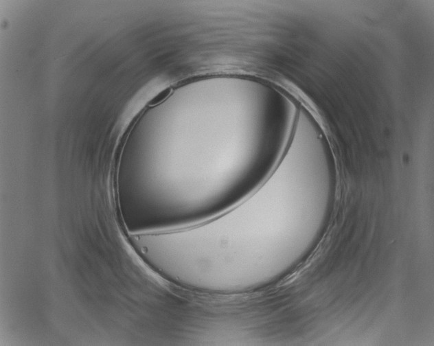 X0000065971293200603101348