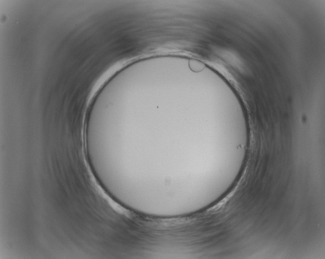 X0000065971294200603101348