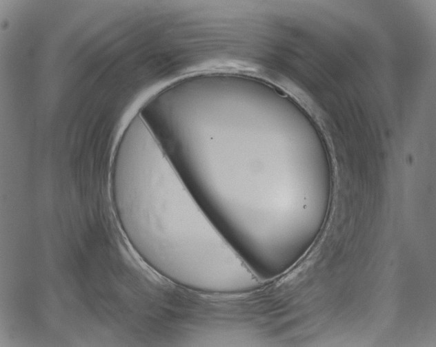 X0000065971296200603101348