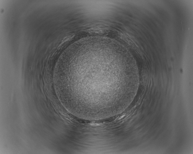 X0000065971297200603101347