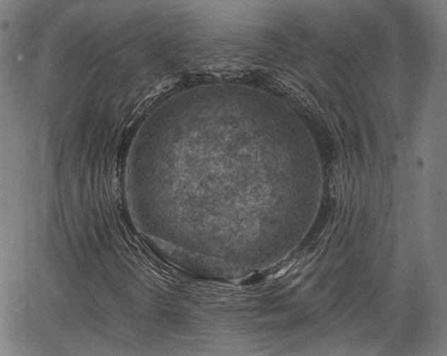 X0000065971298200603101347