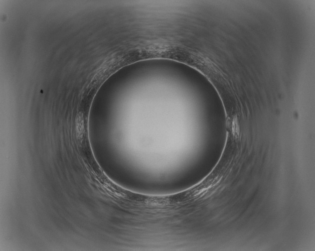 X0000065971299200603101347