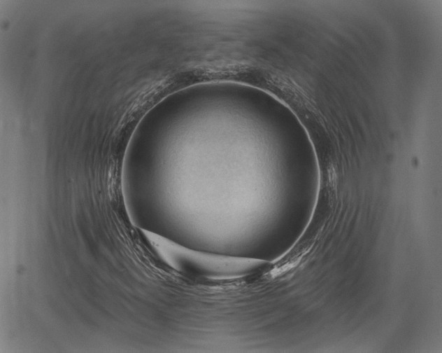 X0000065971300200603101347