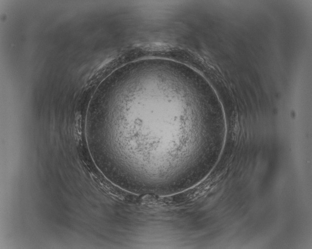 X0000065971301200603101347