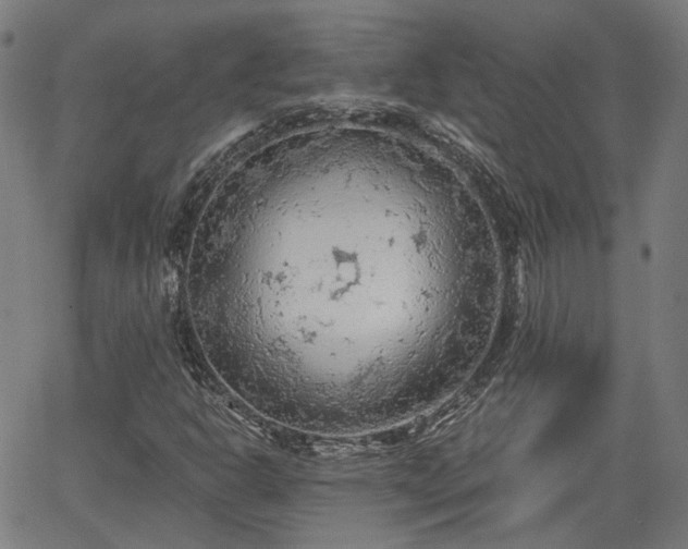 X0000065971302200603101347