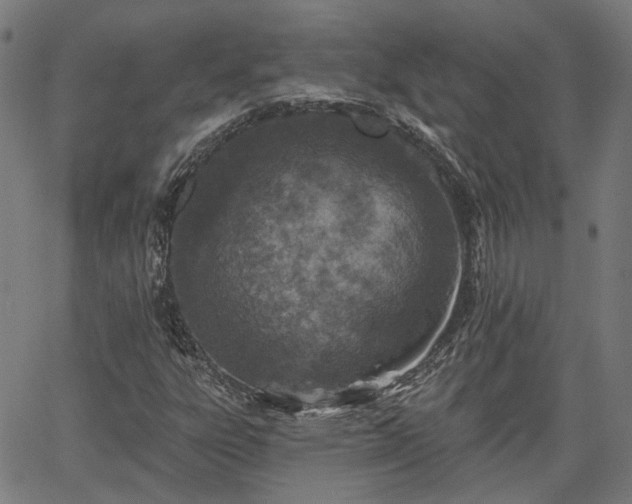 X0000065971303200603101347