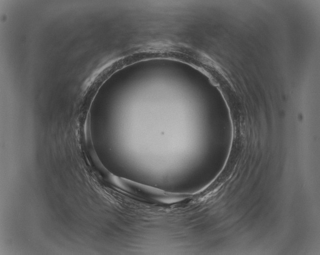 X0000065971304200603101347