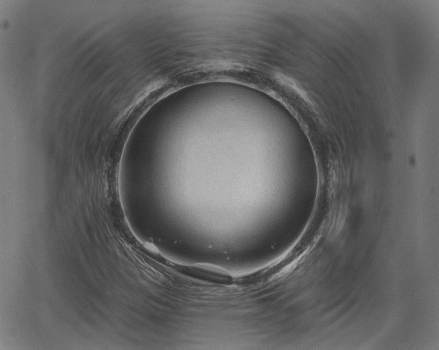 X0000065971305200603101347