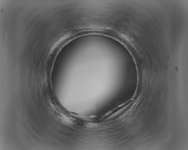 X0000065971307200603101347