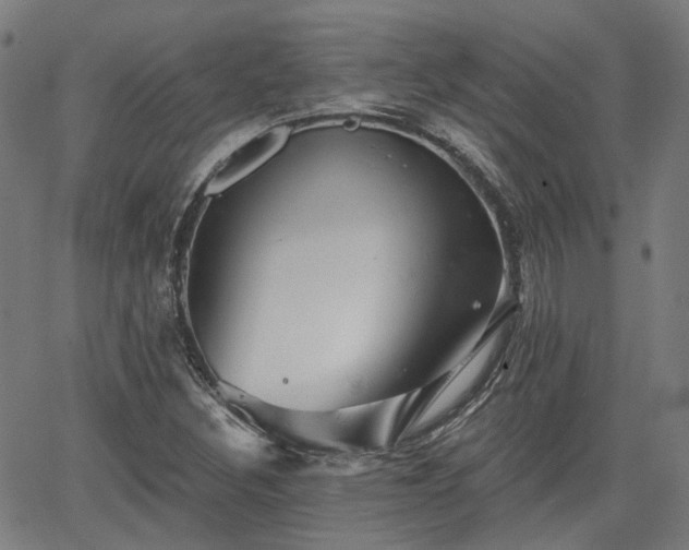 X0000065971308200603101347