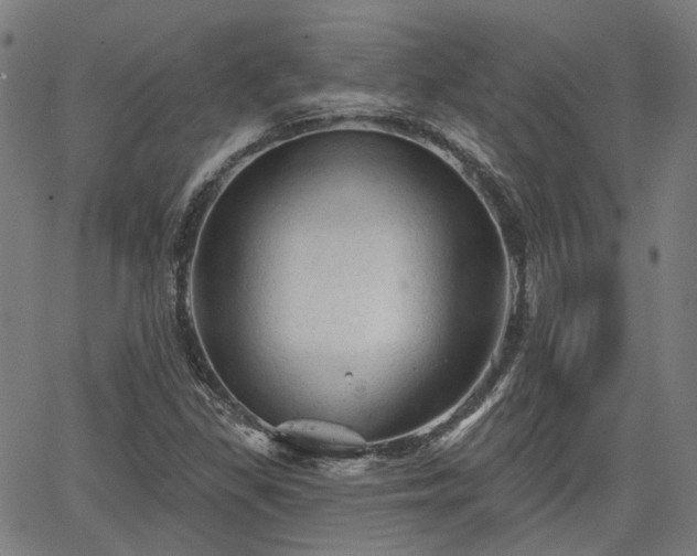 X0000065971309200603101347