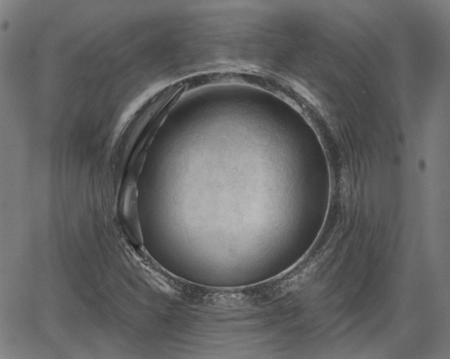 X0000065971310200603101347