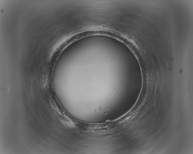 X0000065971311200603101347