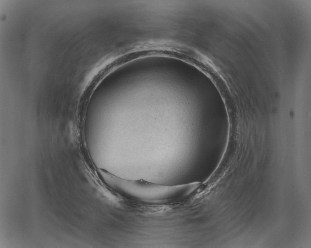 X0000065971312200603101347