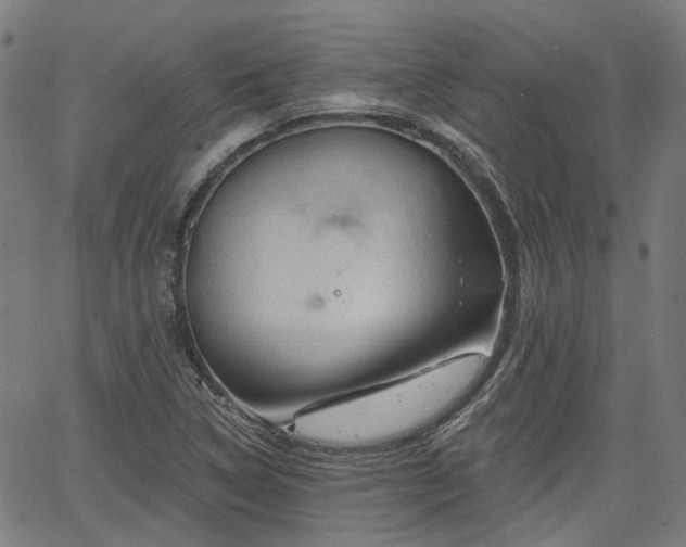 X0000065971314200603101347