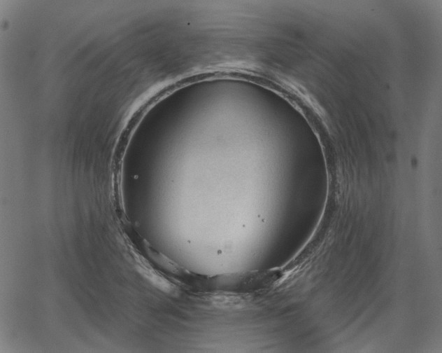 X0000065971316200603101347